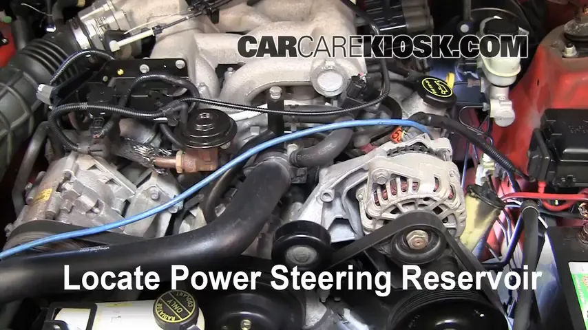 2004 Ford Mustang 3.9L V6 Coupe Power Steering Fluid Add Fluid